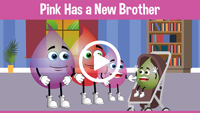 Pink Has a New Brother Educational Cartoons