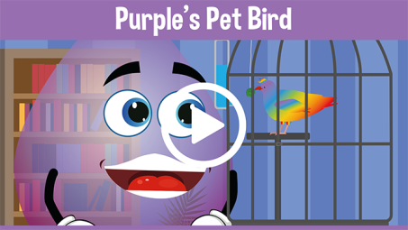 Purple’s Pet Bird Educational Cartoons